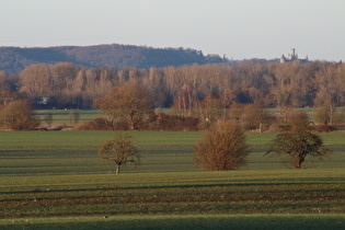 Zoom auf das Schloss Marienburg auf dem Marienberg