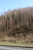 eine Felskuppe weit unten im Okertal