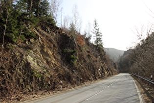 Steinschlagsicherungen im Okertal, Blick talaufwärts …