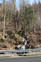 der Kuhschiedentalbach