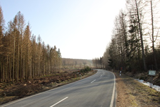 auf 600 m ü.NHN ungewöhnlich hell