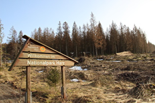 Willkommen im Borkenkäferpark Harz