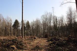 Benther Berg, Blick vom Kammweg auf Benthe