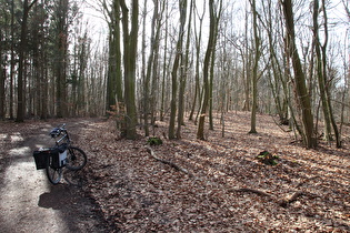 erster Sattelpunkt der Tour auf dem Benther Berg