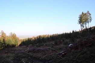 unterhalb Müllers Höh, Blick nach Osten