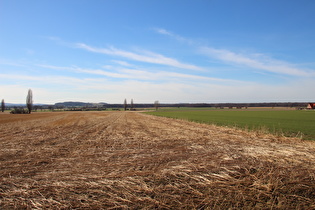 … Blick zum Stemmer Berg, …