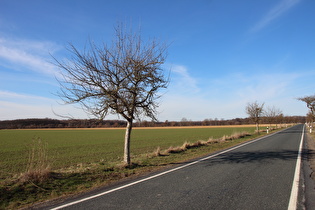 Blick zum Großen Holz