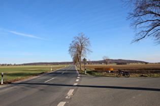 zwischen Ditterke und Großem Holz, Blick zum Benther Berg …