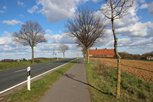 Kollrotshöhe, Westrampe, Blick Osten …