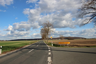 zwischen Ditterke und Großem Holz, Blick zum Benther Berg