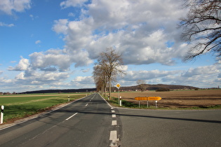 zwischen Ditterke und Großem Holz, Blick zum Benther Berg