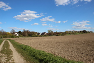 westlich von Letter-Süd, Blick nach Osten …