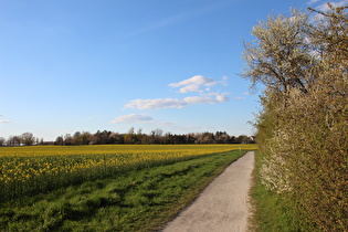 weiter nördlich, Blick zum Heisterberg