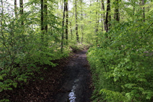 … und Blick nach Südwesten