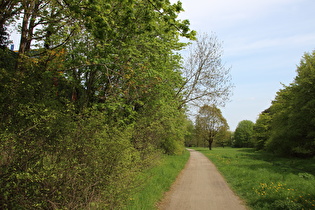 Radweg parallel zum Messeschnellweg, Blick nach Nordosten