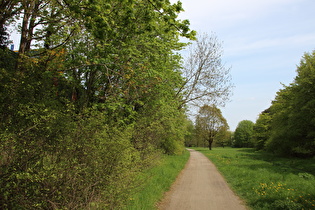 Radweg parallel zum Messeschnellweg, Blick nach Nordosten