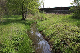 der Laher Graben beim Messeschnellweg, Blick flussaufwärts …