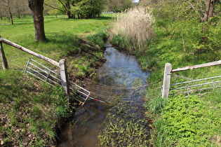 … und Blick flussabwärts