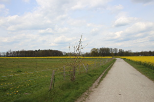 irgendwo im Nirgendwo nördlich von Altwarmbüchen