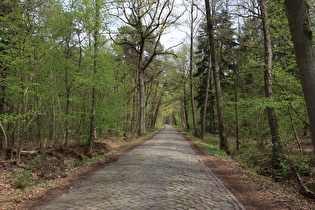 „Alter Postweg“ mit Straßenbelag von damals