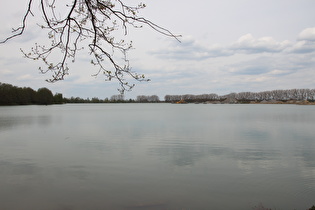 Blick über den Wietzesee nach Norden