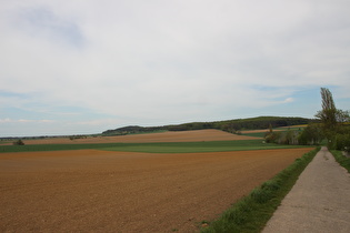 östlich von Degersen, Blick zum Gehrdener Berg …