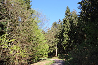 im Deister, Kehre oberhalb der Wasserräder