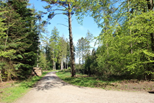 Geländepunkt „Feldberg“, Blick nach Osten …