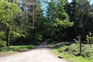 … und Blick bergauf nach Süden