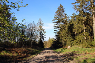 Hohe Warte, Blick nach Nordosten