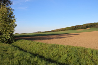 zwischen Redderse und Ditterke, Blick nach Nordosten auf Benther Berg und Gehrdener Berg, …