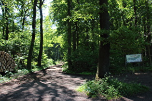 Benther Berg, Nordhang, erster Anstieg der Tour