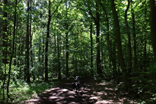 erster Sattelpunkt der Tour auf dem Benther Berg