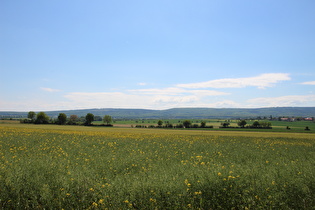 … Blick nach Südwesten zum Deister …