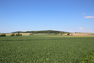 … am Ostrand von Degersen, Blick zum Gehrdener Berg, …