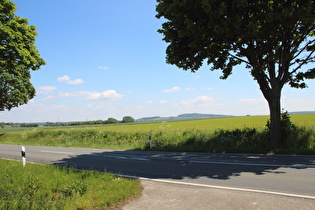 … und Blick zum Süllberg