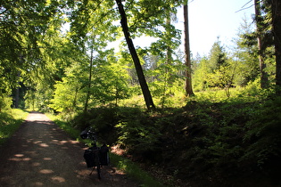 oberhalb von Waldkater, Blick nach Südwesten …