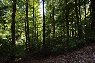 … und Blick nach Südosten