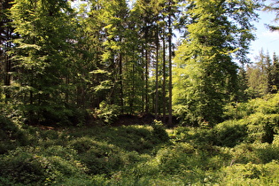 weiter oben, Blick nach Süden