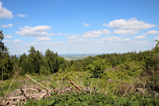 unterhalb Müllers Höh, Blick nach Osten