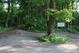 Benther Berg, Nordhang, Blick zurück auf den ersten Anstieg der Tour