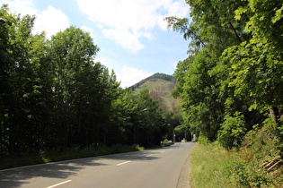 in Oker, Blick zum Hahnenberg