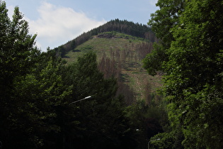 Zoom auf den Hahnenberg