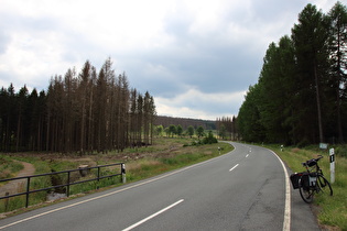 L504, Querung des Dammgrabens, Blick bergauf