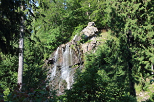 Zoom auf den Radauwasserfall