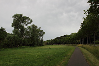 zwischen Olenhusen und Settmarshausen, Blick nach Westen