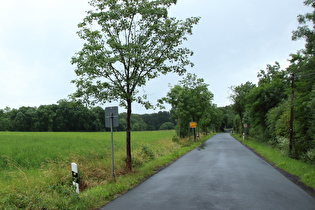 Anstieg zum Hohen Hagen, Ortsrand von Dransfeld