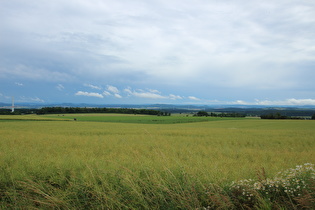 … und Blick nach Osten