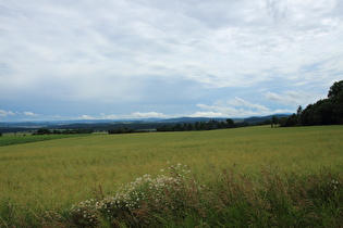 Blick nach Süden