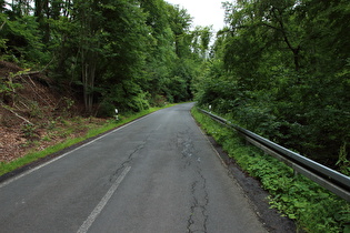 Anstieg aus dem Werratal Richtung Ziegenberg-Bornhof